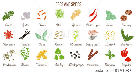Big set of simple flat culinary herbs and spices Big set of simple flat culinary herbs and spices 28991932