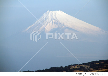 朝の雪の富士山 28992828