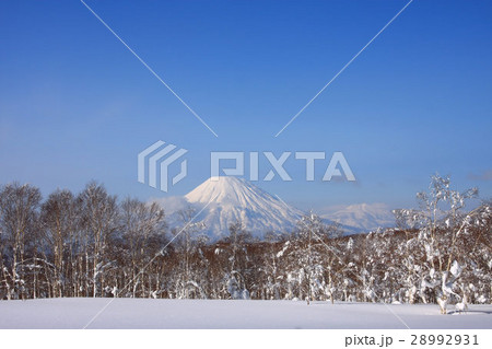 冬の幌滝山周辺から見る雪原と羊蹄山 28992931