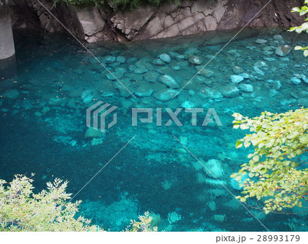 ユーシンブルー 28993179