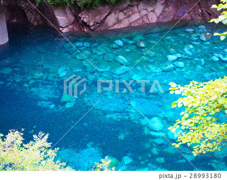 ユーシンブルー 28993180