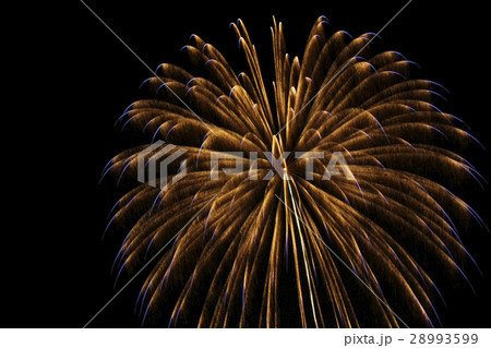 たまむら花火大会 10号玉 12 inch fireworks shells in Tamamura 28993599