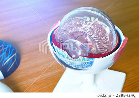 Ophthalmology oculus sample closeup 28994340