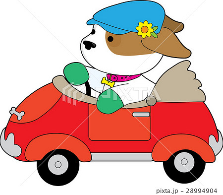 Puppy Car Puppy Car 28994904