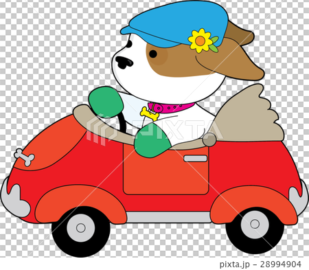 Puppy Car Puppy Car 28994904