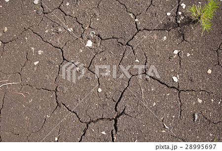Texture of cracked soil 28995697