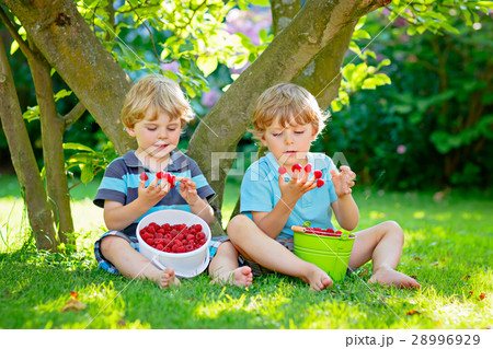 Two little friends, kid boys having fun on Two little friends, kid boys having fun on 28996929