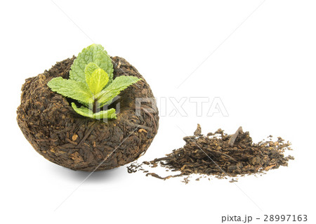 energy tea puer 28997163