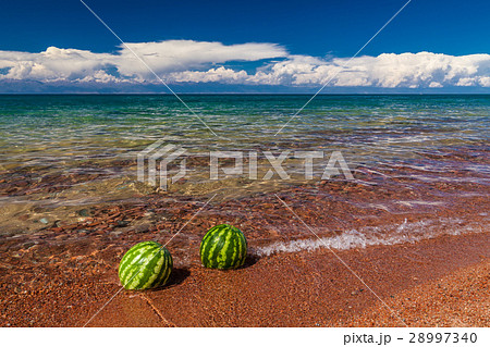 Watermelons on the coast 28997340