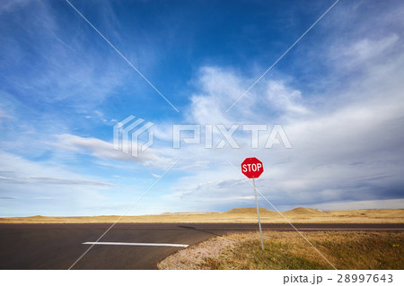 Desert highway with a stop sign, concept picture. 28997643