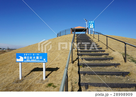 千年希望の丘 被災地 千年希望の丘 被災地 28998909