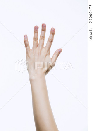 Hand Close-Up Hand Close-Up 29000478