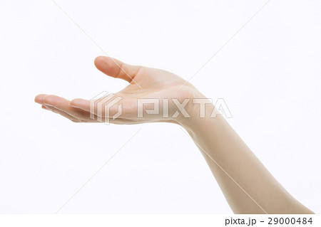 Hand Close-Up Hand Close-Up 29000484