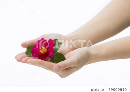 Hands Close-Up 29000610