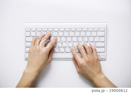 Hands typing Close-Up Hands typing Close-Up 29000612