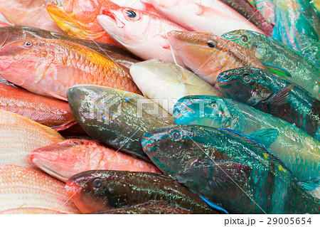 Okinawa Primary Color Fish Lined Up In The Stock Photo