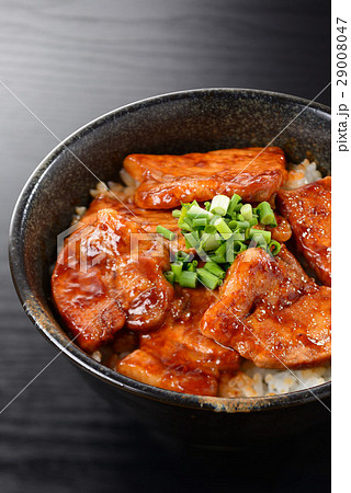 豚丼 29008047