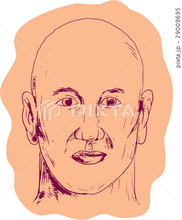 Bald Caucasian Male Head Drawing 29009695