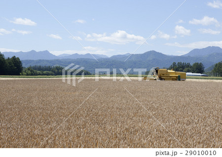 農機と小麦畑 農機と小麦畑 29010010