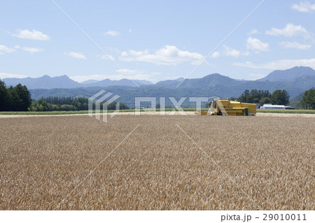 農機と小麦畑 農機と小麦畑 29010011