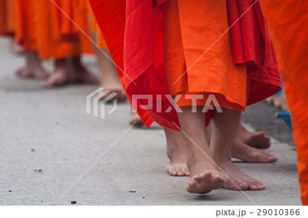 Monks walk 29010366
