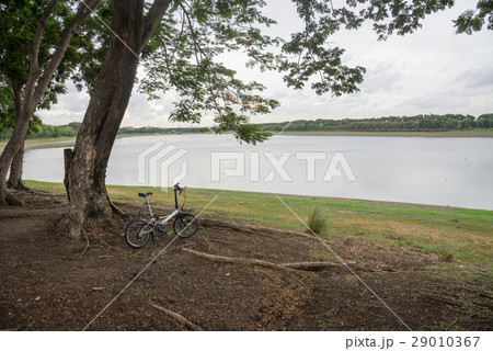 relax time relax time 29010367