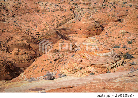 The Wave, Navajo Sandstone, Arizona 29010937