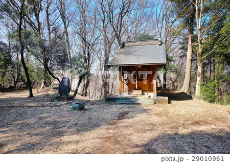 【国史跡】滝山城 本丸 金比羅社（金比羅神社） 29010961