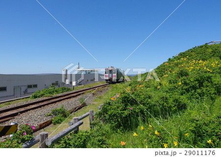 小清水原生花園　釧網線 29011176