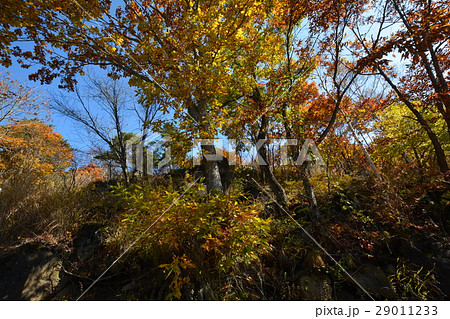 富士見高原へ行きました #62 富士見高原へ行きました #62 29011233