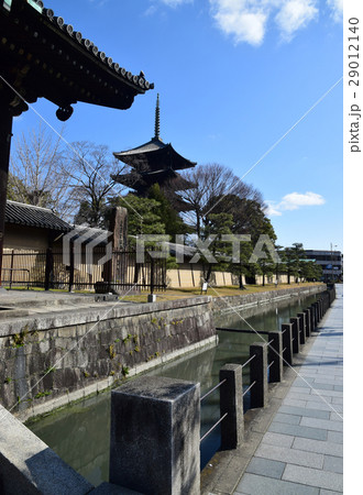京都東寺 29012140