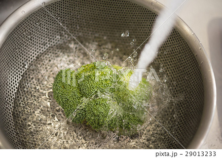 ブロッコリー ブロッコリー 29013233