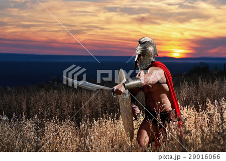 Fearless young Spartan warrior posing in the field 29016066