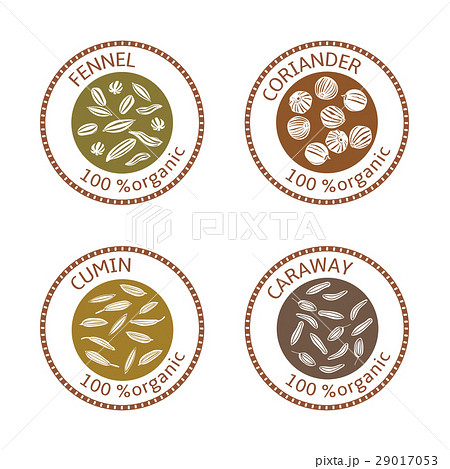 Set of flat spices stamp labels. 100 organic 29017053