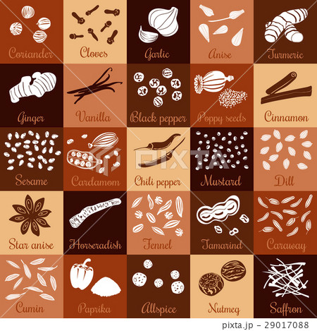 Spices hand drawn vector big icon squared set 29017088