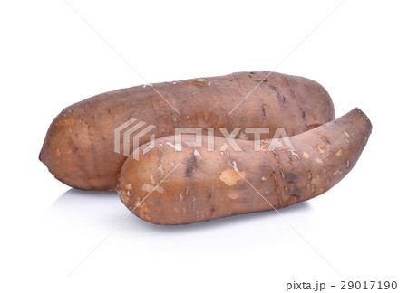 smallanthus sonchifolius (yacon),snow lotus  29017190