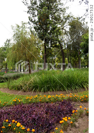 アラメダ公園（メキシコ・シティ） 29017532