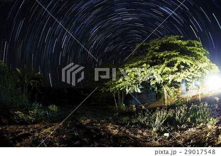 Star trails 29017548