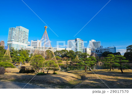 旧芝離宮恩賜庭園 旧芝離宮恩賜庭園 29017570