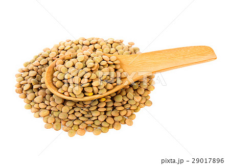 lentils in wood spoon isolated on white background lentils in wood spoon isolated on white background 29017896