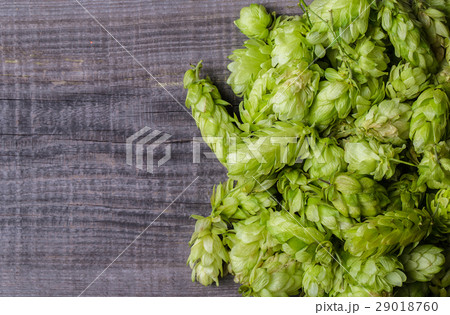Fresh green hops on a wooden table Fresh green hops on a wooden table 29018760