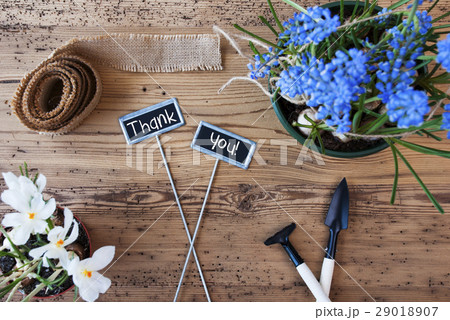Flowers, Signs, Text Thank You 29018907