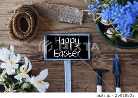 Spring Flowers, Sign, Text Happy Easter Spring Flowers, Sign, Text Happy Easter 29018908