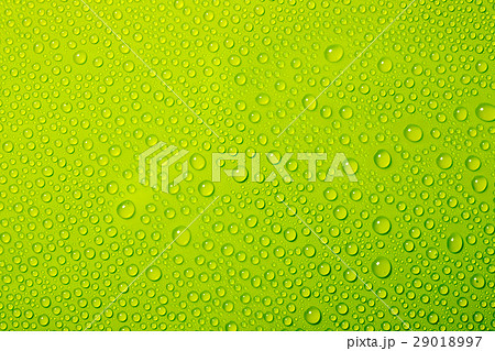 water drops on green background 29018997