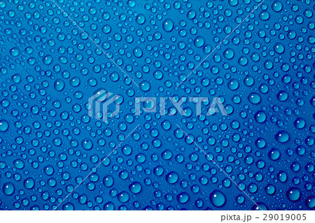 Water drops on the blue background 29019005