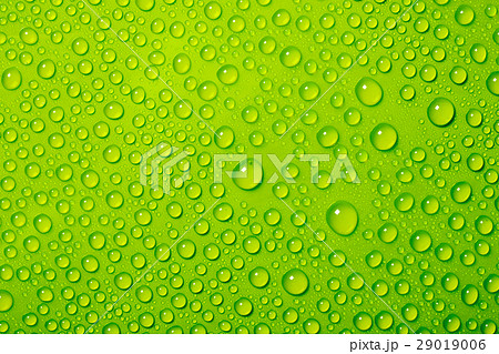 water drops on green background water drops on green background 29019006