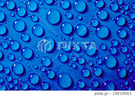 Water drops on the blue background Water drops on the blue background 29019063