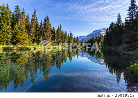 Glacier Park 29019518