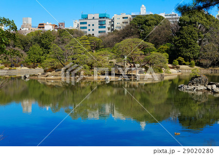 早春の六義園と湖面に映える景観 29020280