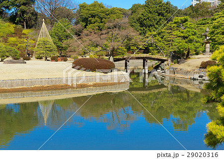 早春の六義園と湖面に映える景観 29020316